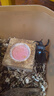 智宙 甲蟲果凍昆蟲獨(dú)角仙果凍鍬甲飼料食物中華大扁鍬甲秋甲蟲金龜子 10枚散裝（可食用30天左右） 曬單實(shí)拍圖