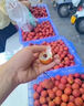 水果蔬菜保鮮劑噴霧食用保鮮劑防腐劑噴灑浸泡蔬菜肥料防爛抗氧化 一瓶【果蔬放不壞】 曬單實(shí)拍圖