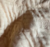 童泰（TONGTAI）嬰兒套裝春秋季純棉寶寶衣服兒童家居服內(nèi)衣上衣高腰褲子黃色80cm 曬單實(shí)拍圖