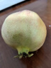 萬(wàn)亦四川會(huì )理軟籽紅石榴新鮮現摘皮薄爆汁當季水果產(chǎn)地直發(fā) 單果250g+ 2個(gè)裝 曬單實(shí)拍圖