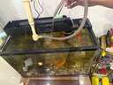 金利佳（Jeneca） 魚缸換水器電動抽水器洗沙器洗砂 自動吸便器吸水器水族箱抽便器 B款（含電源不含電池） 曬單實拍圖