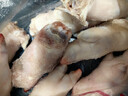 【順豐】10只生豬蹄豬腳豬爪豬蹄小肥蹄散養土豬肉冷凍豬蹄鹵豬蹄 帶筋土豬蹄10只【冷鏈速發(fā)】 曬單實(shí)拍圖
