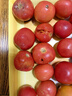 疆域采虹正宗普羅旺斯西紅柿現摘新鮮沙瓤水果生吃西紅柿沙漠特產(chǎn)自然熟 甄選超值18-24枚單果 50g + 曬單實(shí)拍圖