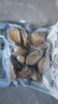 江船長無殼鮑魚肉凈重110g(12粒） 活鮑加工 火鍋燒烤海鮮 生鮮 曬單實拍圖