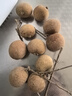 京鮮生 廣東龍眼凈重3斤裝 單果8g+ 帶枝發(fā)貨 生鮮水果 源頭直發(fā)包郵 曬單實(shí)拍圖