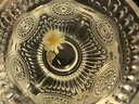 貝親 乳頭保護 乳盾 蝶翼型 超薄貼合 兩只裝 L碼 QA68 附透明收納盒 曬單實(shí)拍圖