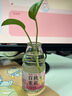 Olrain歐芮兒趣味貓咪提花套裝女秋裝2025新款氣質(zhì)毛織上衣半身裙兩件套 藍(lán)色 XL 曬單實(shí)拍圖