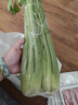 西芹約1kg 曬單實(shí)拍圖