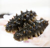 曉芹 大連干海參 110g 33-40只 遼刺參 海參干貨 干參禮盒  曬單實(shí)拍圖