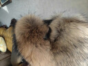 恒源祥狐貍毛帽子男女冬季雷鋒帽東北戶(hù)外防寒護耳仿皮帽保暖棉帽蒙古帽 旗艦草黃（加厚皮頂帽） 正常頭圍(54-60) 曬單實(shí)拍圖