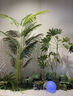 故森仿真植物綠植景觀(guān)造景陽(yáng)臺組合裝飾植物樓梯玻璃櫥窗仿生室內布置 景觀(guān)001-天堂鳥(niǎo)+加州蒲葵【主圖同款】 曬單實(shí)拍圖