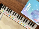 特倫斯電子琴兒童鋼琴初學(xué)早教寶寶男女孩小鋼琴玩具樂(lè )器生日禮物1-6歲 多功能電子琴37鍵 曬單實(shí)拍圖