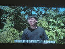 aet新款X3手機投影儀家用高清投影機投屏辦公超高清小型迷你便攜臥室投影機家庭影院手機投屏 X3藍牙語(yǔ)音版（AI語(yǔ)音聲控-側投縮放-手機投屏） 曬單實(shí)拍圖
