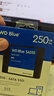 西部數據（WD）筆記本臺式機電腦 SSD固態(tài)硬盤(pán) SA510 SATA M.2 Blue系列 3D技術(shù) 高速讀寫(xiě) WD Blue SATA | 性能款 250G 曬單實(shí)拍圖