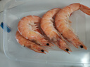鯨口大開(kāi)【青島蝦】超大蝦新鮮大蝦冷凍鮮活青島大蝦批發(fā)整箱基圍蝦青蝦 15-17厘米鮮蝦速凍 3斤(凈重) 曬單實(shí)拍圖