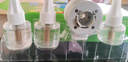 超威電熱蚊香液基孔肯雅熱滅蚊器非無(wú)香驅蚊液防蚊液補充液4瓶1加熱器 曬單實(shí)拍圖