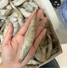 萬(wàn)景 國產(chǎn)大蝦 鹽凍北海白蝦(大號) 80-100只凈重4斤  燒烤聚餐 海鮮 曬單實(shí)拍圖