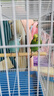 鳥(niǎo)籠鸚鵡籠鴿子籠雞籠家用小型鳥(niǎo)站桿鳥(niǎo)籠中大型號鳥(niǎo)窩籠子別墅 白色中號40*30*30(送食盒站桿) 大寵物別墅精致生活 折疊免安裝方便收納 多功能設計滿(mǎn)足你的需求 曬單實(shí)拍圖
