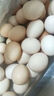 筱諾 農家新鮮土雞蛋 現撿柴雞蛋初生蛋單枚40±5g 30枚1200g 曬單實(shí)拍圖