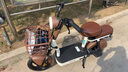 臺鈴電動自行車【國家補貼】Q糖50KM長續(xù)航電動車48V13AH鉛酸小錦鯉小果粒歡樂豆彩深棕 曬單實拍圖