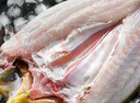 黃小漁寧德黃魚(yú)鲞400g/2條 三去大黃魚(yú)黃花魚(yú)生鮮 海鮮水產(chǎn)燒烤夜宵魚(yú)類(lèi) 曬單實(shí)拍圖