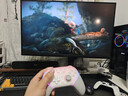 蓋世小雞（GAMESIR）超新星無(wú)線(xiàn)游戲手柄帶底座 適用switch2手機PC安卓Steam電腦NS2pro電視體感藍牙有線(xiàn)粉色絲之歌 曬單實(shí)拍圖