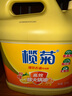 欖菊洗潔精大桶5kg 菊之語檸檬去油果蔬清洗劑餐具食品用級別洗滌靈 曬單實拍圖