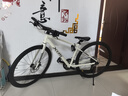 喜德盛（xds）極速380平把公路自行車(chē)禧瑪諾油碟剎公路車(chē)24款米白卡其420 曬單實(shí)拍圖