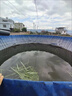 蓄水池大容量農用鍍鋅板防水帆布魚(yú)池水產(chǎn)養殖果園灌溉戶(hù)外儲水池 直徑3米高1米【蓄水6.8噸】全國包郵 曬單實(shí)拍圖