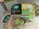 一號(hào)農(nóng)場(chǎng)活力蔬菜沙拉碗6種蔬菜開(kāi)盒即食輕食健身代餐160g*3碗源頭直發(fā) 曬單實(shí)拍圖
