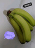 高山精品甜蕉現(xiàn)摘新鮮水果香蕉孕婦寶寶輔食搭配丫丫生鮮特產(chǎn) 2斤帶箱裝【青蕉發(fā)貨】 曬單實拍圖