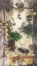 云峰海瑞三湖慈鯛魚(yú)馬鯛活體魚(yú)熱帶魚(yú)觀(guān)賞魚(yú)巖棲中小型淡水魚(yú)非洲王子 隨機10條2-3cm  幼魚(yú)未完全發(fā)色 曬單實(shí)拍圖