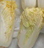 云南高原娃娃菜新鮮蔬菜生鮮乾隆白菜早餐火鍋必備產(chǎn)地直發(fā) 淺黃色 新鮮娃娃菜3顆裝*1包 曬單實(shí)拍圖