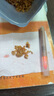 趕海弟 五星金鉤海米500g蝦仁干 淡干小蝦米干蝦皮 涼拌菜煲湯 海鮮干貨 曬單實(shí)拍圖