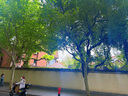 MO&Co.牛仔褲手擦貓須磨砂中腰懷舊淺藍棉質(zhì)闊腿長(cháng)褲摩安珂 牛仔藍色 XS 25 曬單實(shí)拍圖