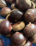 伊利奶粉金領(lǐng)冠3段育護(hù)非960g/400g/1200g幼兒配方奶粉盒裝 3段1200g 曬單實(shí)拍圖