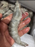 鮮京采 原裝進口厄瓜多爾白蝦 凈重3.3斤 大號30-40規(guī)格 50-66只/盒 曬單實拍圖