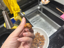 十里饞 知了猴新鮮25年金蟬野生大活體速凍爬叉候龜唐僧肉特產(chǎn)中秋送禮 【甄選】野生精品金蟬100只 曬單實(shí)拍圖