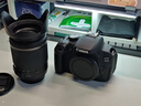 佳能/Canon 550D 600D 700D 750D二手單反相機入門(mén)級半畫(huà)幅高清R100 R50 佳能700D+騰龍18-200VC 套機(95新) 曬單實(shí)拍圖