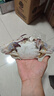 舟山梭子蟹鮮活特大野生大螃蟹新鮮冷凍海鮮水產(chǎn)海蟹飛蟹白蟹順豐 9兩以上/只【5斤凈重 超大肥美】 曬單實(shí)拍圖