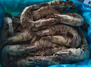 京鮮港 黑虎蝦大蝦凈重3斤 24-30只/盒 生鮮特大號源頭直發(fā)送禮家庭聚餐 曬單實(shí)拍圖