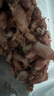蟻淘鮮大份海兔子500g滿(mǎn)籽筆管魚(yú)全籽墨魚(yú)仔海鮮火鍋燒烤食材軟足類(lèi)干貨 【大份量】500g海兔干貨 曬單實(shí)拍圖