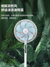 鉆石牌電風(fēng)扇【一級能效+直流變頻+純銅電機】家用落地扇語(yǔ)音遙控搖頭扇節能省電輕音臥室客廳DFS-ZGR07 曬單實(shí)拍圖
