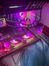 華碩ROG全家桶i9 14900KF華碩RTX5080主機5070Ti臺式電腦組裝機高端電競游戲直播設(shè)計渲染視頻剪輯整機 配置4：i7 14700KF+華碩RTX5070 曬單實拍圖