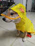 嬉皮狗（hipidog）柯基犬專(zhuān)用狗狗雨衣中小型犬泰迪雪納瑞柴犬寵物雨天衣服防水肚兜 洛克黃鴨鴨造型雨衣 M 推薦狗狗體重13-18斤 曬單實(shí)拍圖