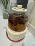 小熊（Bear）全玻璃養(yǎng)生壺 養(yǎng)生杯 辦公室多功能圍爐煮茶花茶壺0金屬全玻璃壺體恒溫壺水壺電熱燒水壺 YSH-P10R8【全玻璃壺體】 1L 配濾網(wǎng) 曬單實拍圖