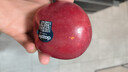 京鮮生Mr Apple新西蘭丹爍蘋(píng)果20粒巨無(wú)霸中秋禮盒單果180-220g源頭直發(fā) 曬單實(shí)拍圖