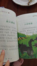 安徒生童話(huà)全集注音版全4冊(cè)（格林童話(huà)+伊索寓言+一千零一夜）小學(xué)生一二三年級(jí)課外閱讀兒童故事書(shū)籍7-10歲兒童文學(xué)?[8-14歲] 課外閱讀 閱讀 課外書(shū)省錢(qián)卡暑假作業(yè) 一升二暑假銜接 小升初暑假銜接 曬單實(shí)拍圖