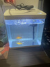 技研精工（JIYJNJINGGONG）魚(yú)缸客廳小型家用帶增氧桌面超白玻璃過(guò)濾免換水生態(tài)懶人魚(yú)缸320 曬單實(shí)拍圖