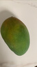 集南鮮 凱特芒果 四川攀枝花芒果當(dāng)季大青皮黃皮大芒果新鮮水果整箱 含箱10斤  單果500g起  凈重9斤 曬單實(shí)拍圖